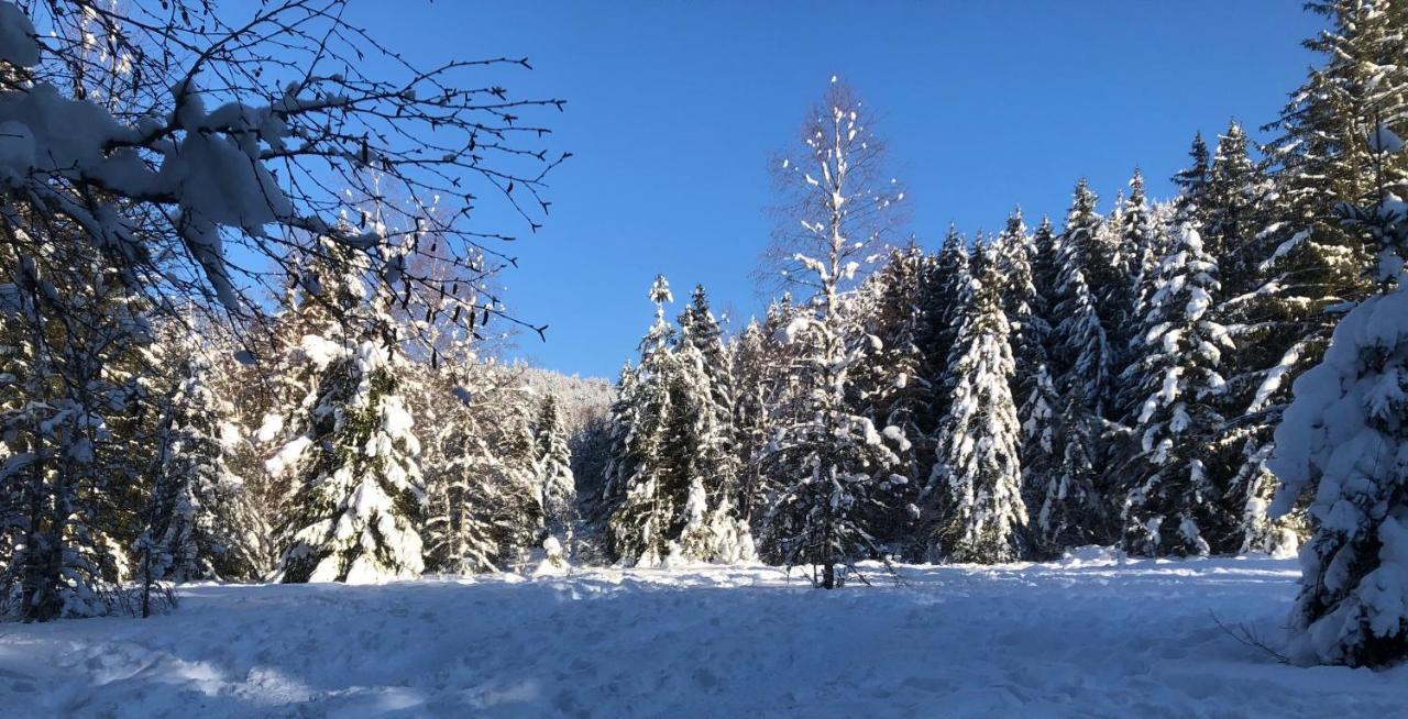 Le batelier du lac Gérardmer Extérieur photo